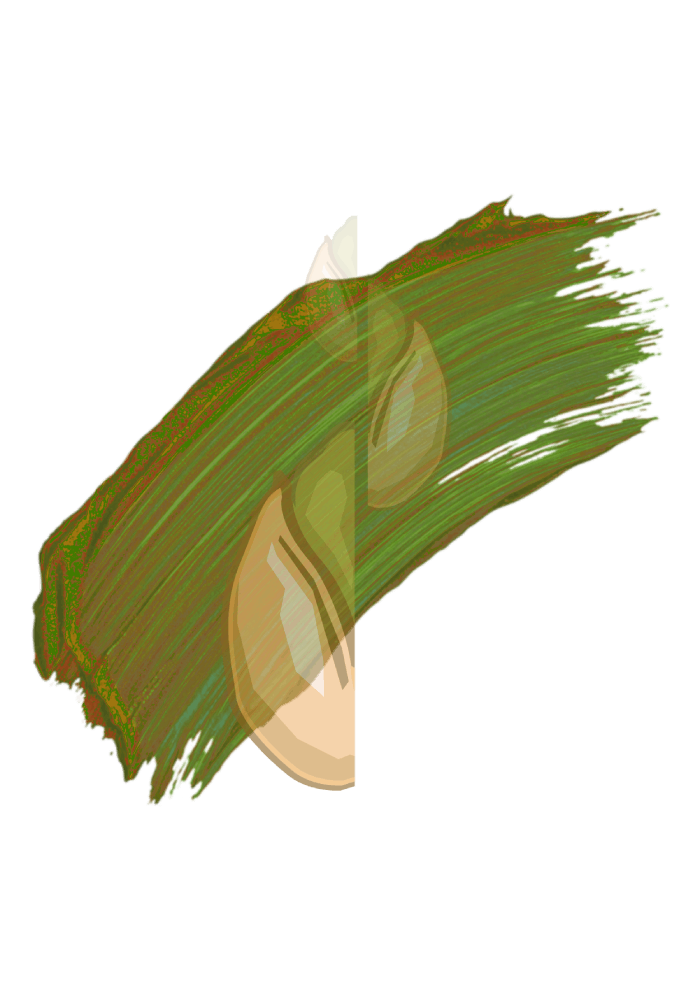 Burro di Cacao/AROMATIZZATO Pistacchio 150g